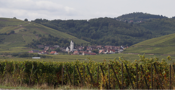 Uitzicht op het Katzental in de Alsace