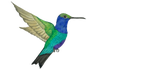 CARADREAM