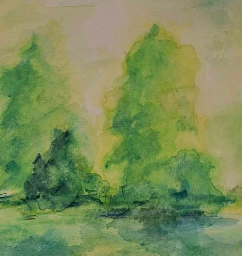 Finnland Wald Bäume