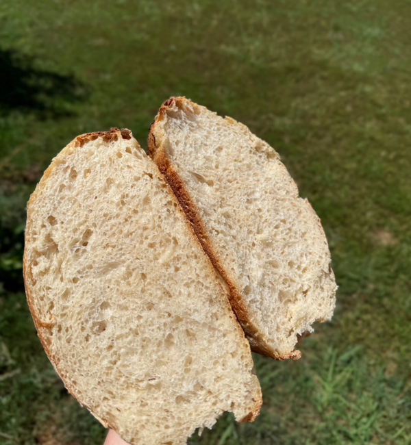 Regular Sourdough Loaf