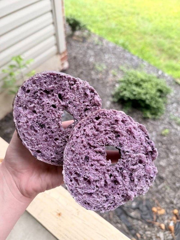 Blueberry Bagels (4)