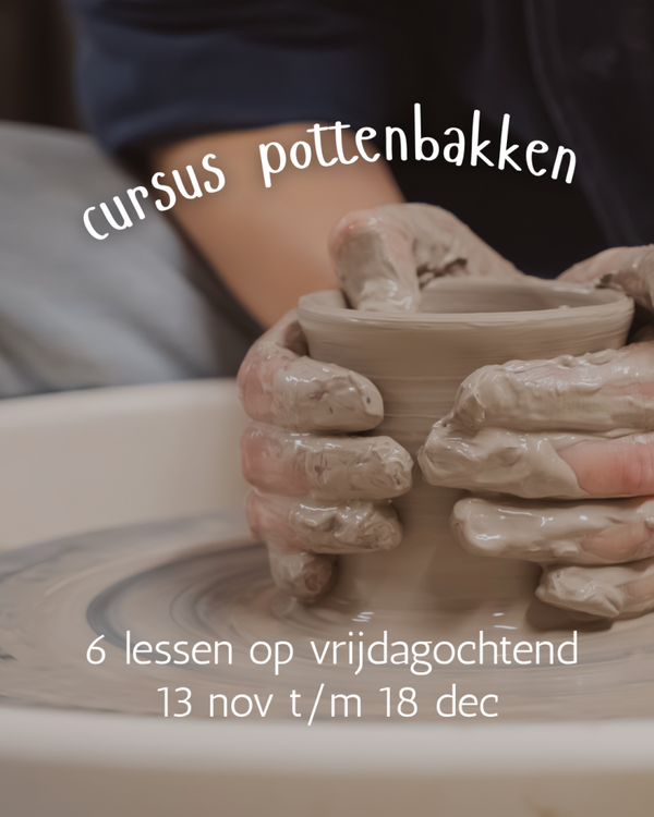 Cursus pottenbakken vrijdagochtend (13 nov t/m 18 dec)