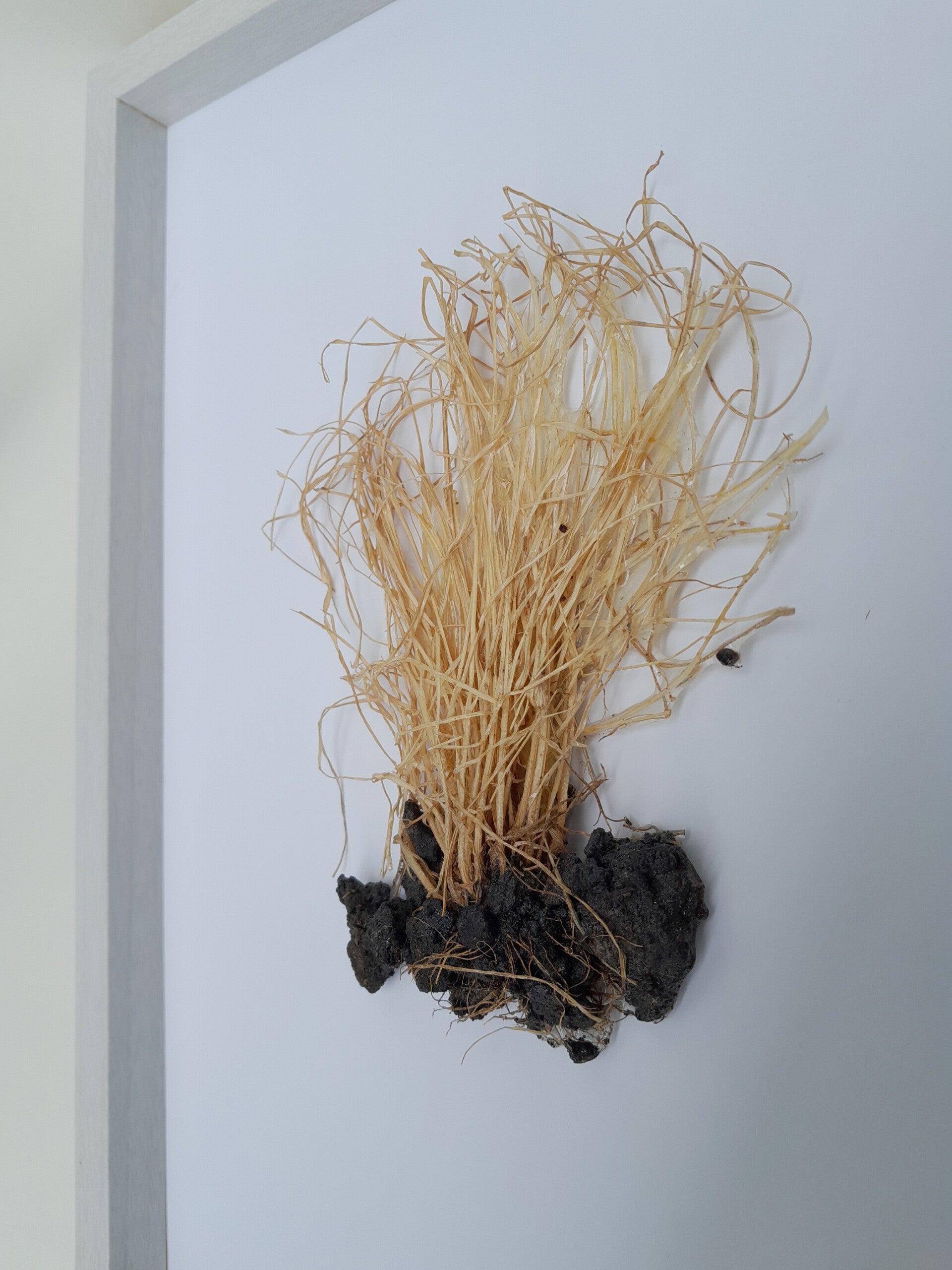 Botanische epoxykunst – Diep Geworteld