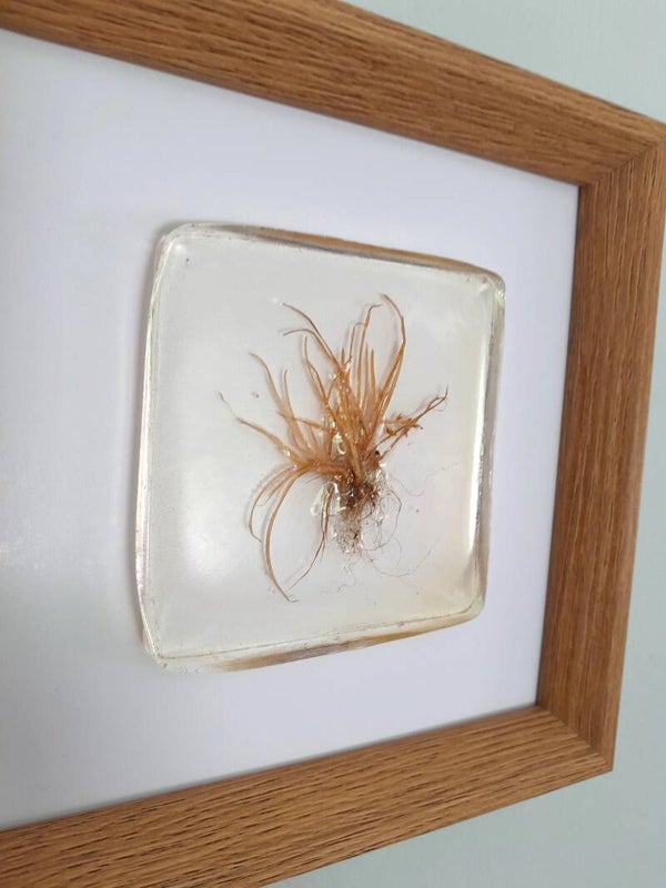 Botanische epoxykunst – Even stil