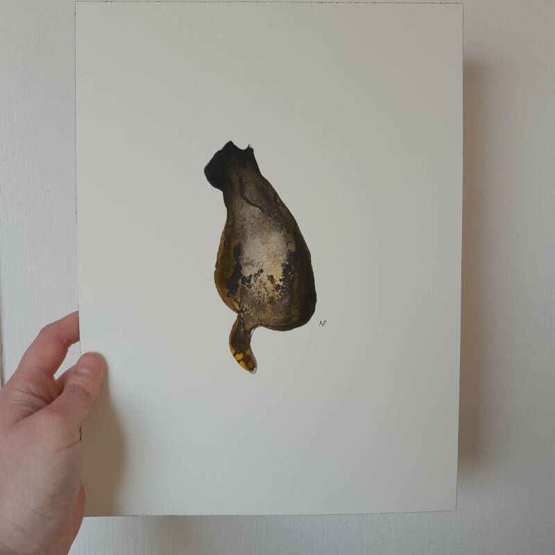 zwarte-kat-met-hand-pietronella-nl-standard.jpg