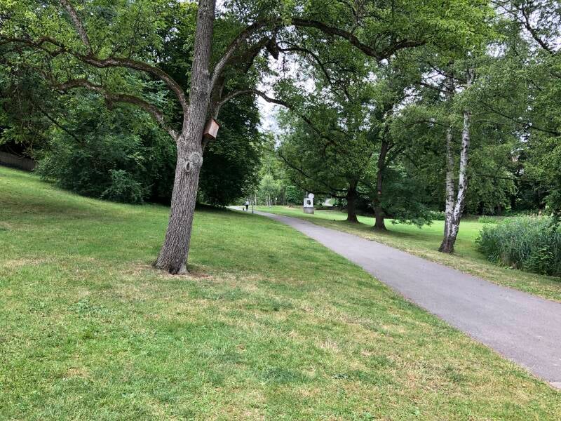 Walking trail going up