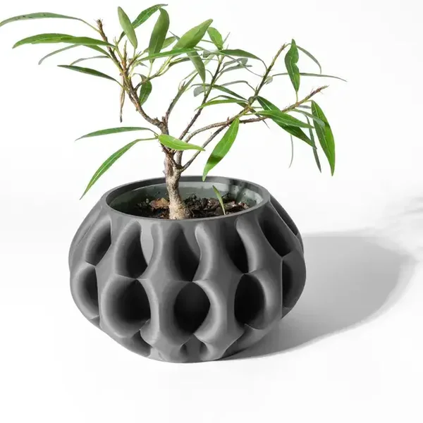 Eco-Friendly PLA Succulent Planter