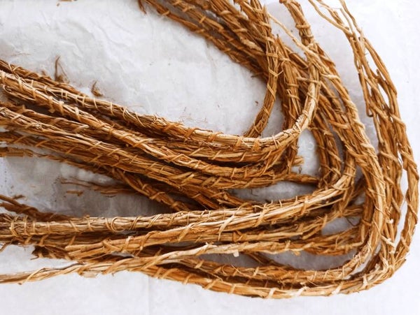 Khamaré - Cepp - Racines de vétivier