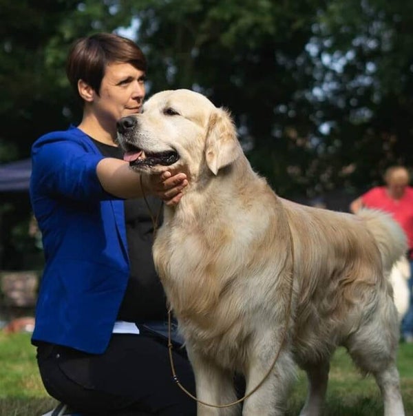Golden Retriever Specialisatie - 1 op 1 Workshop