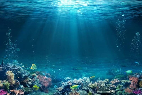 Unterwasser Wandbehang – Korallenriff mit Sonnenstrahlen im Meer
