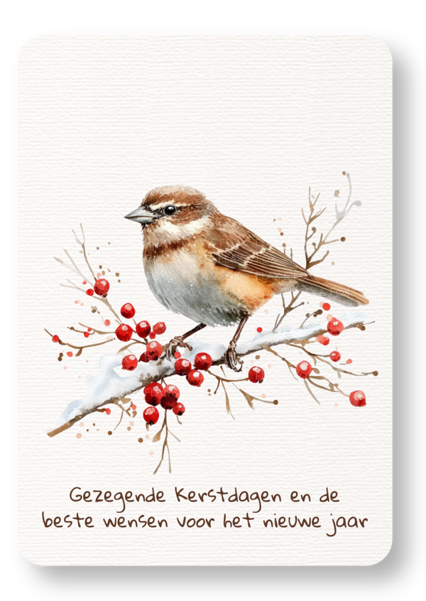 Gezegende Kerstdagen - vogel