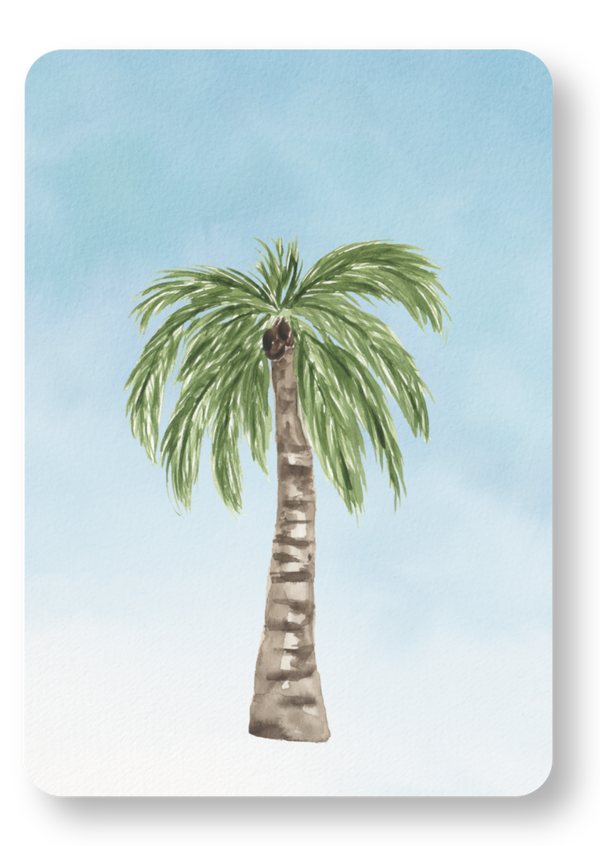 Palmboom