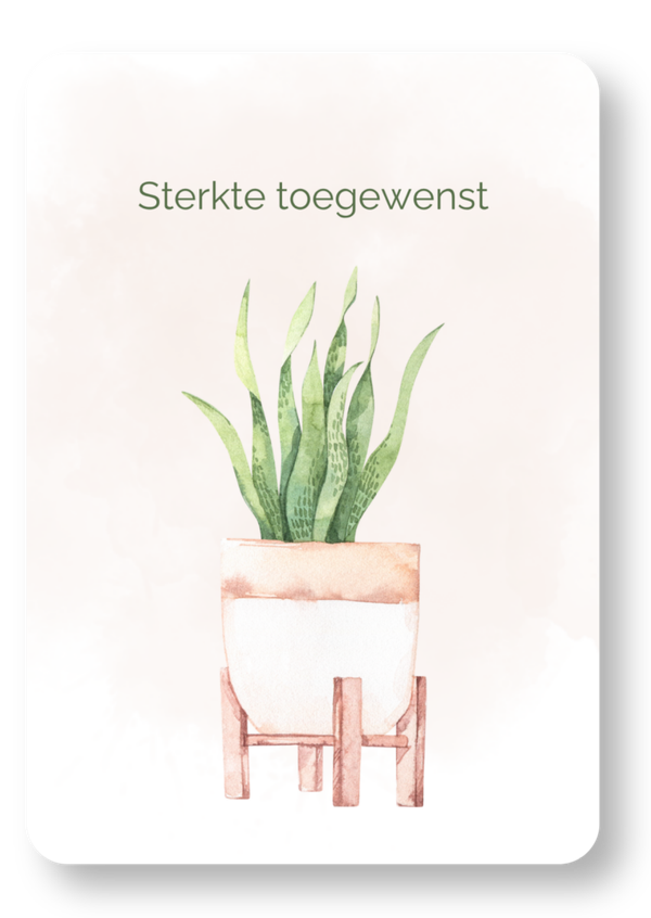Plant - sterkte toegewenst