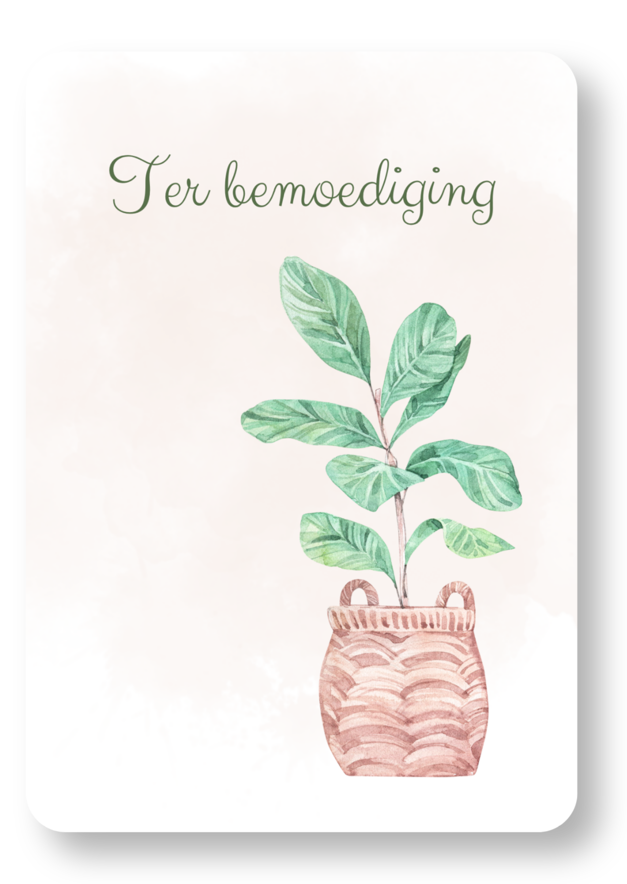 Plant  - ter bemoediging