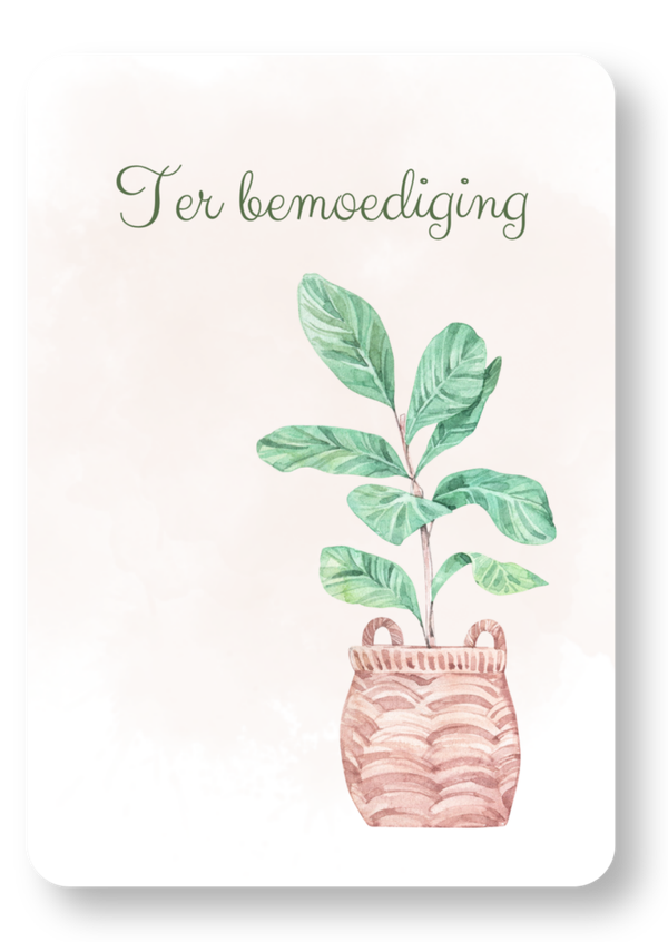Plant  - ter bemoediging