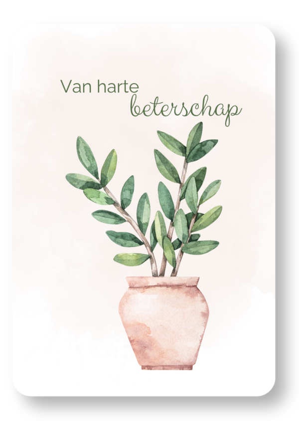 Plant - beterschap