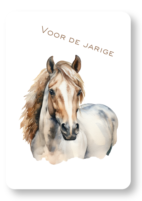 Paard
