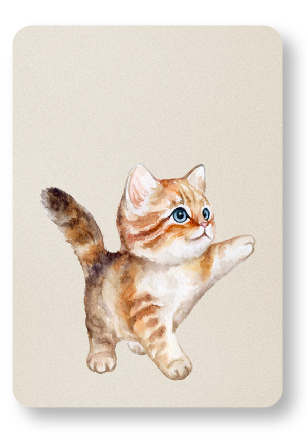 Kitten