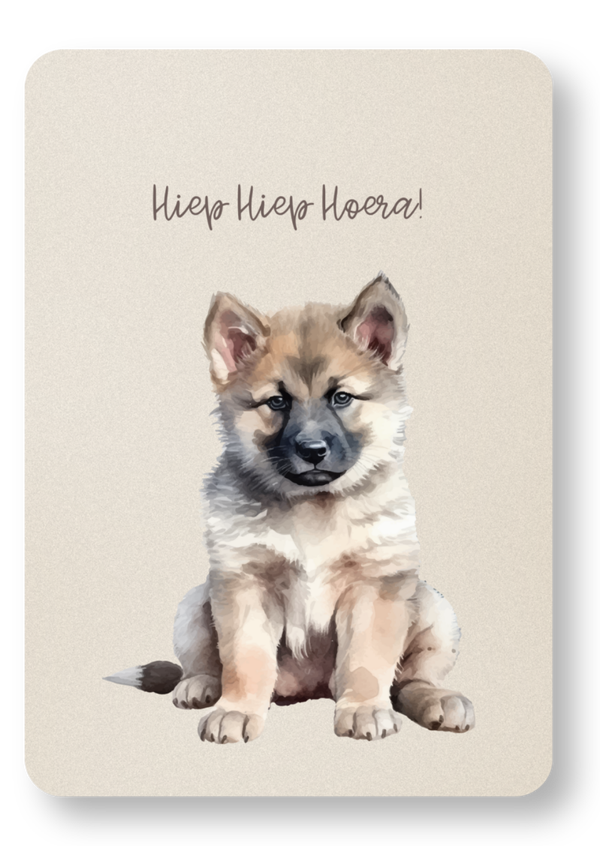Puppy - hiep hiep hoera
