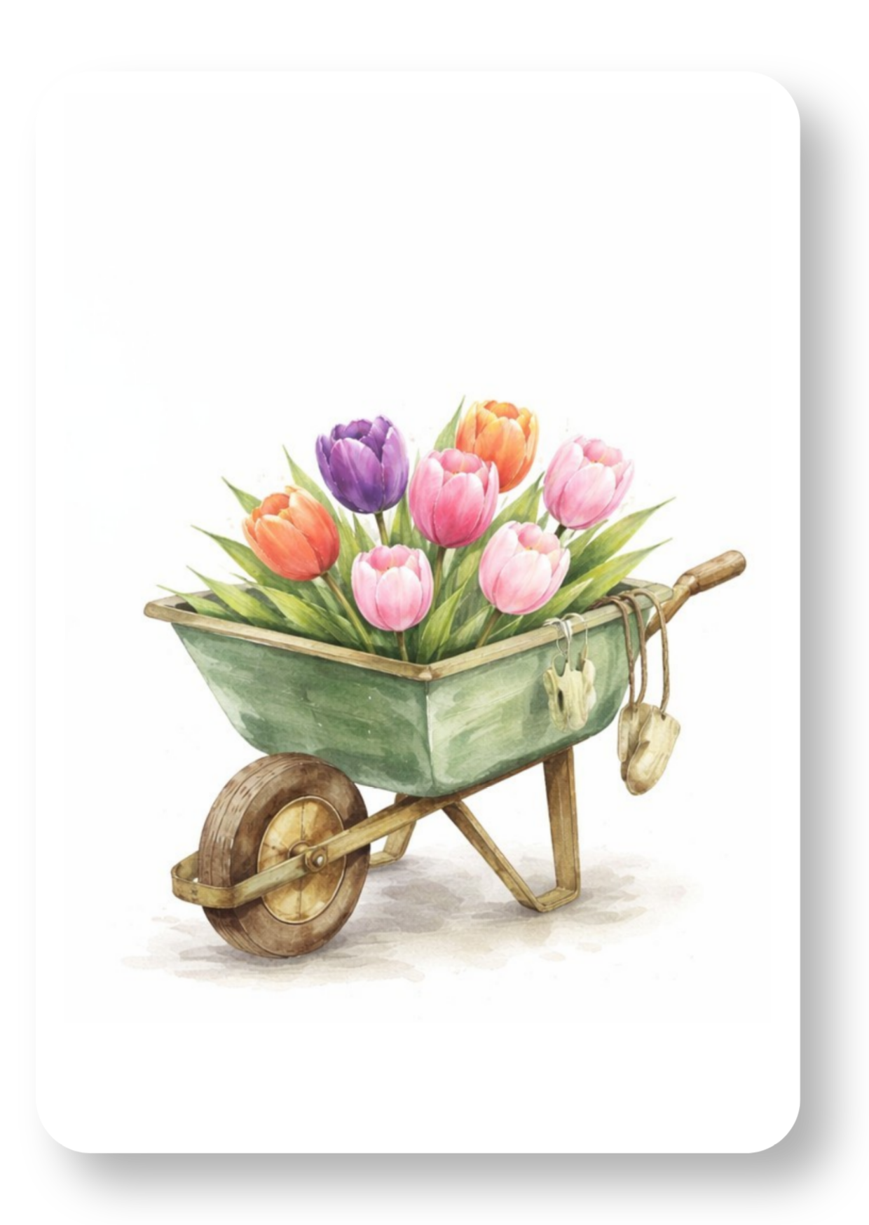 Kruiwagen met tulpen