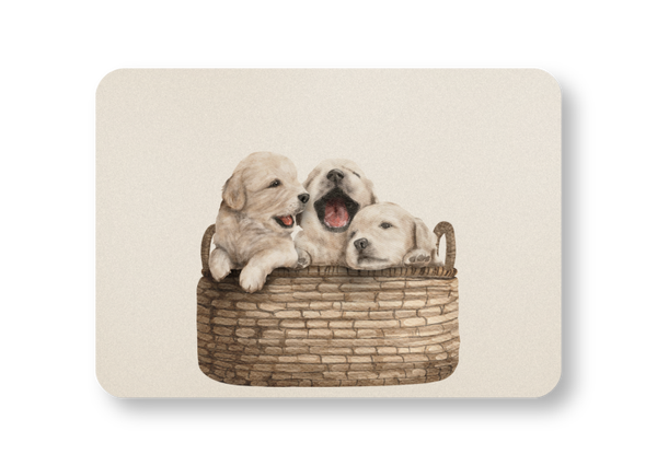 Puppy's in een mandje