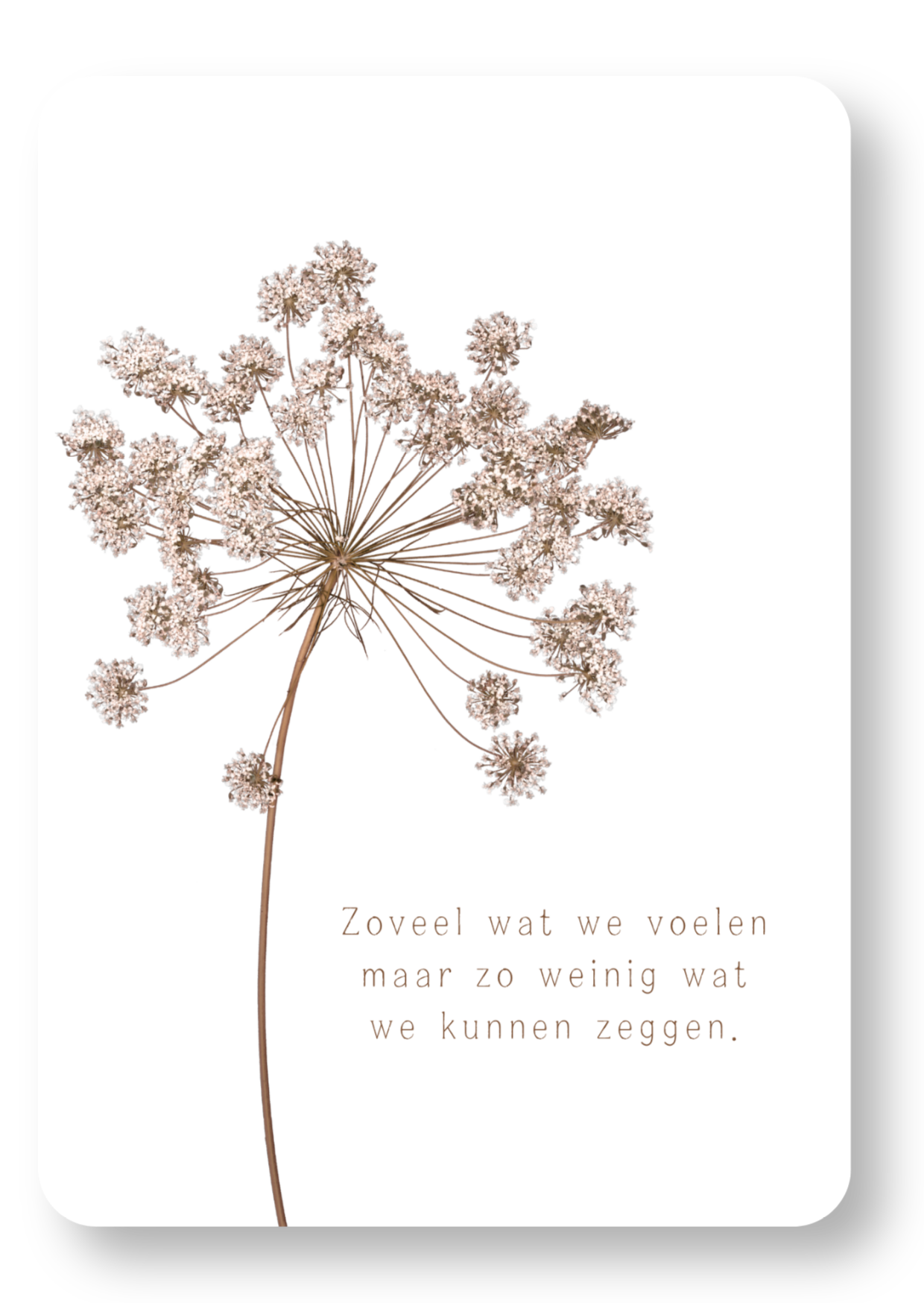 Zoveel wat we voelen