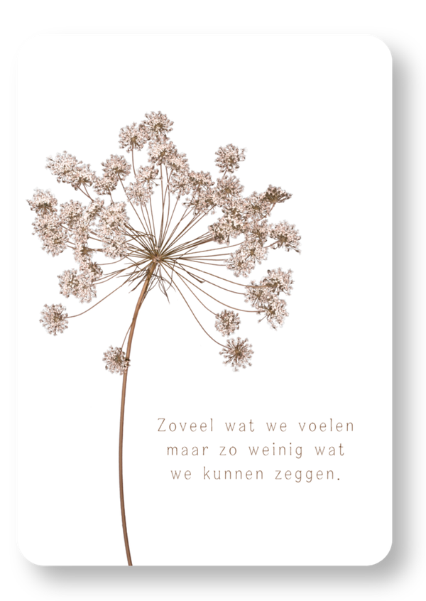 Zoveel wat we voelen