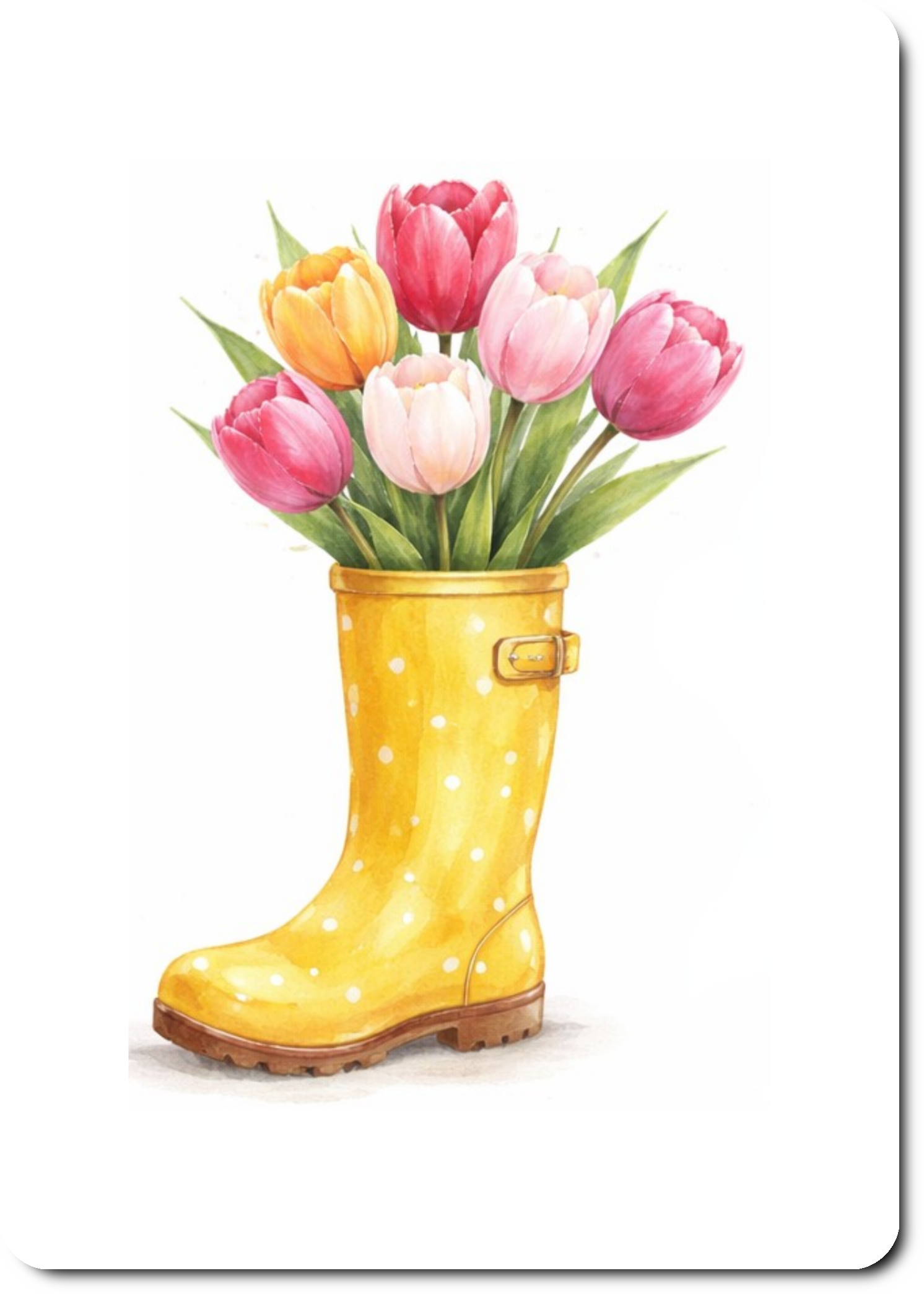 Laars met tulpen