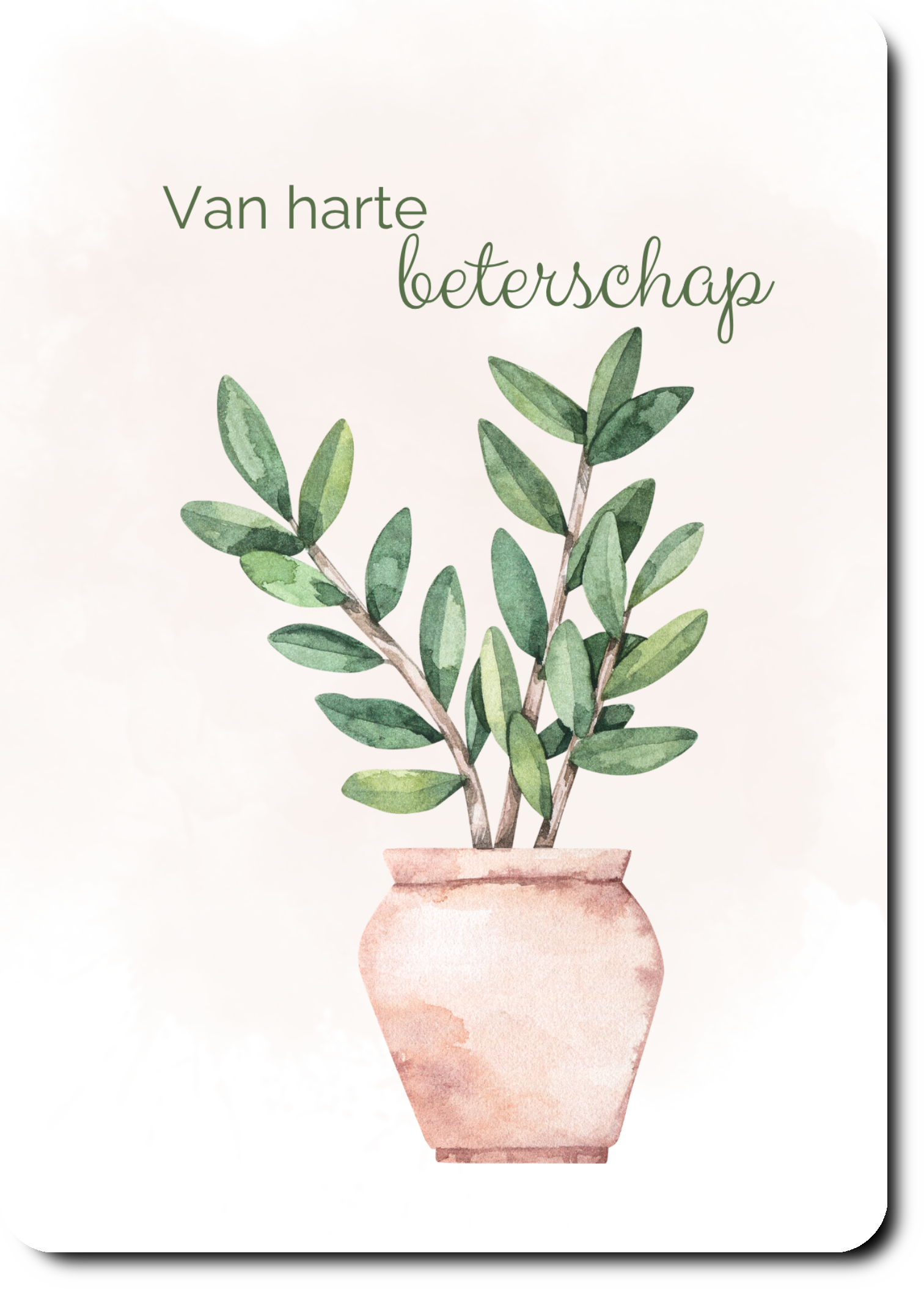 Plant - beterschap