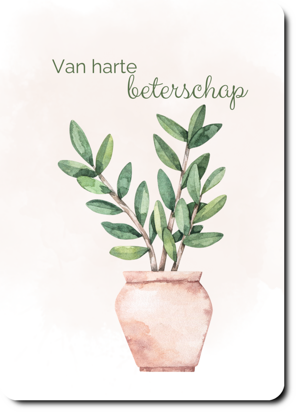 Plant - beterschap