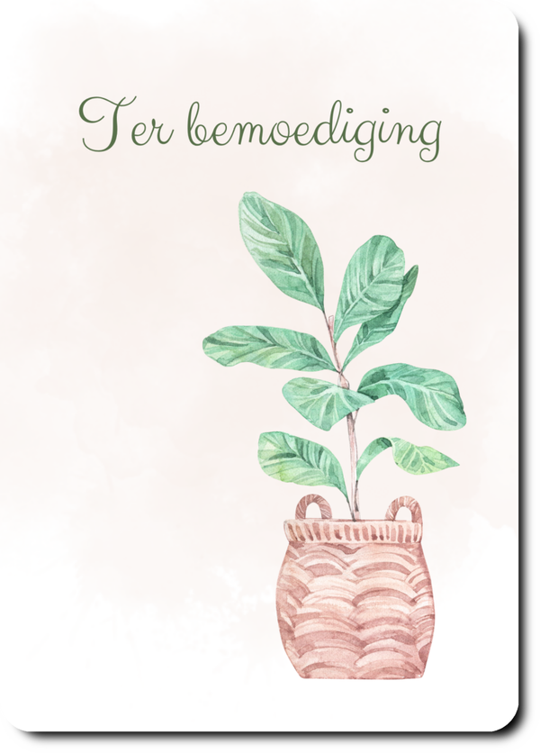 Plant  - ter bemoediging
