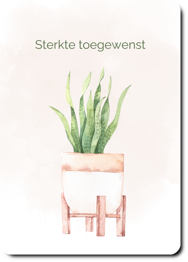 Plant - sterkte toegewenst
