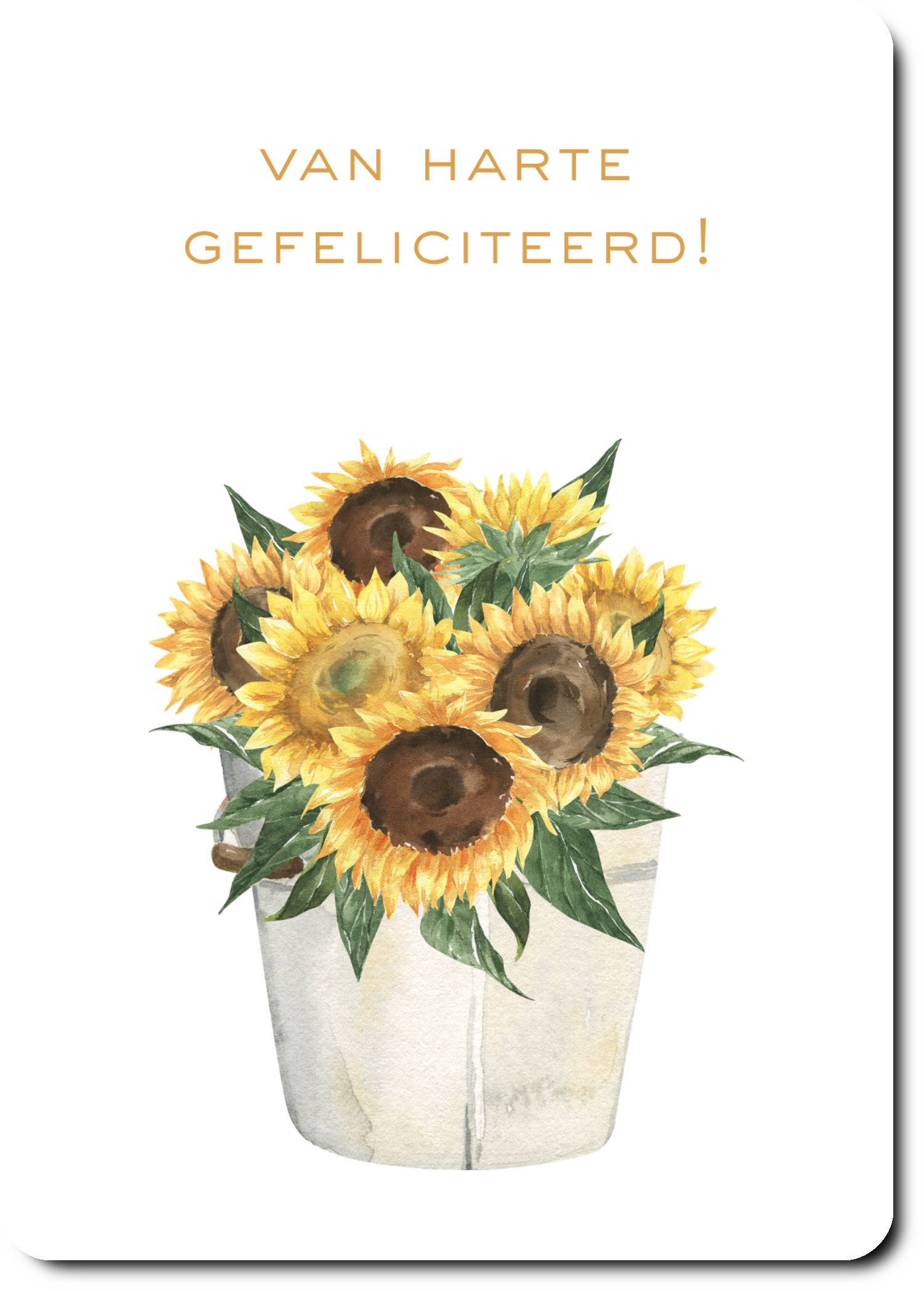 Zonnebloemen - gefeliciteerd