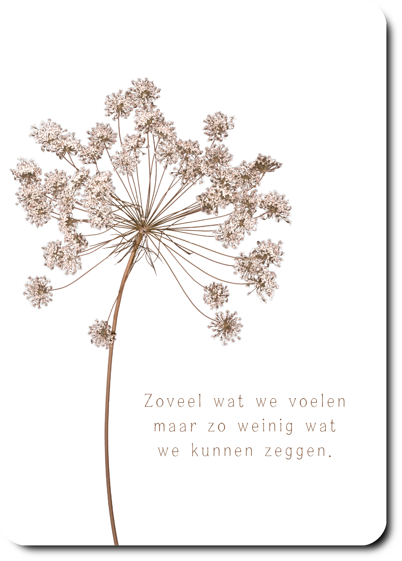 Zoveel wat we voelen