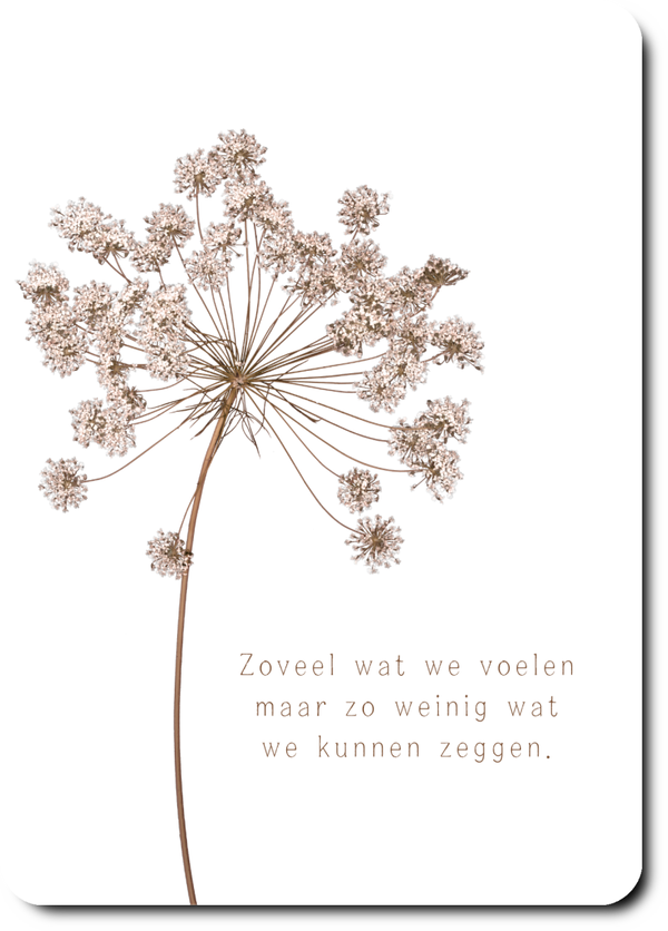 Zoveel wat we voelen