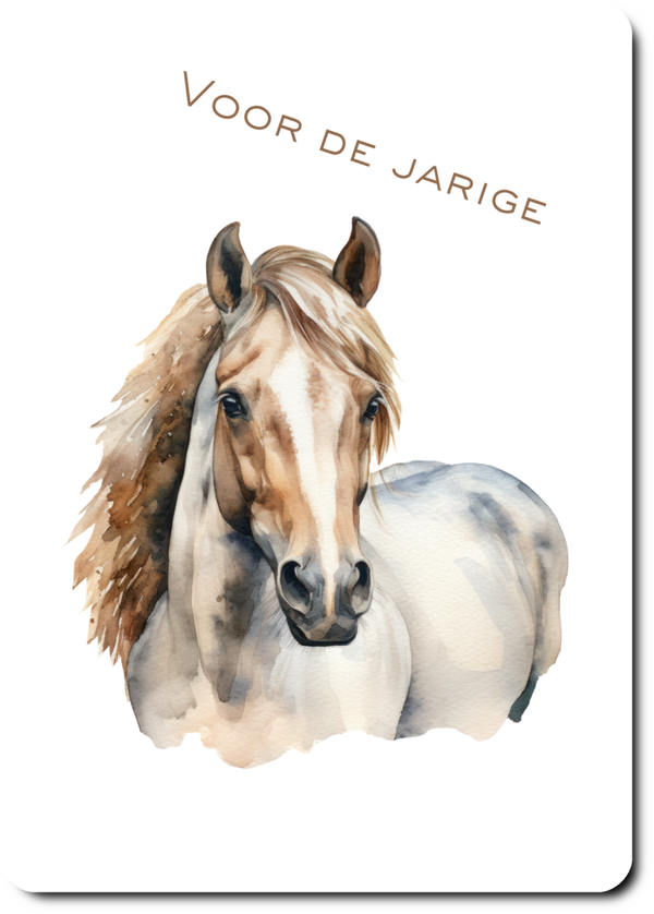 Paard