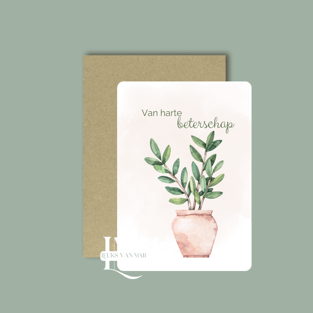 Plant - beterschap