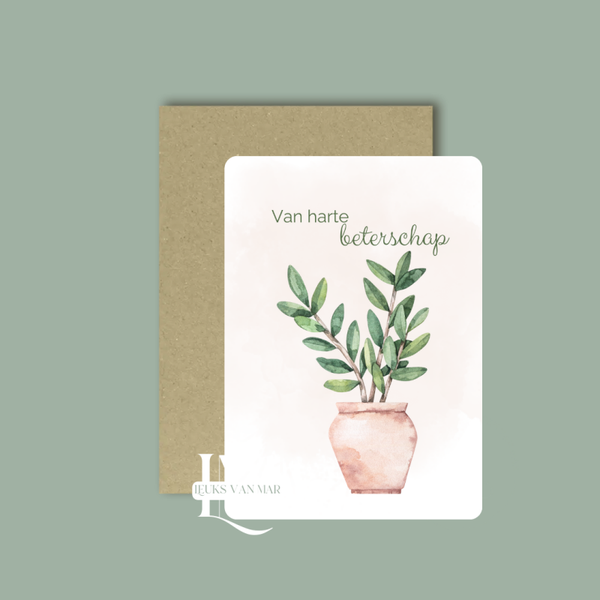 Plant - beterschap
