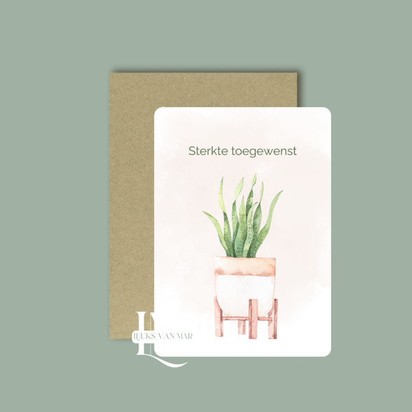 Plant - sterkte toegewenst