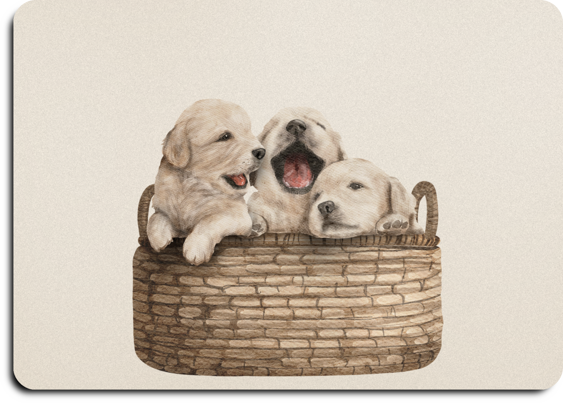 Puppy's in een mandje