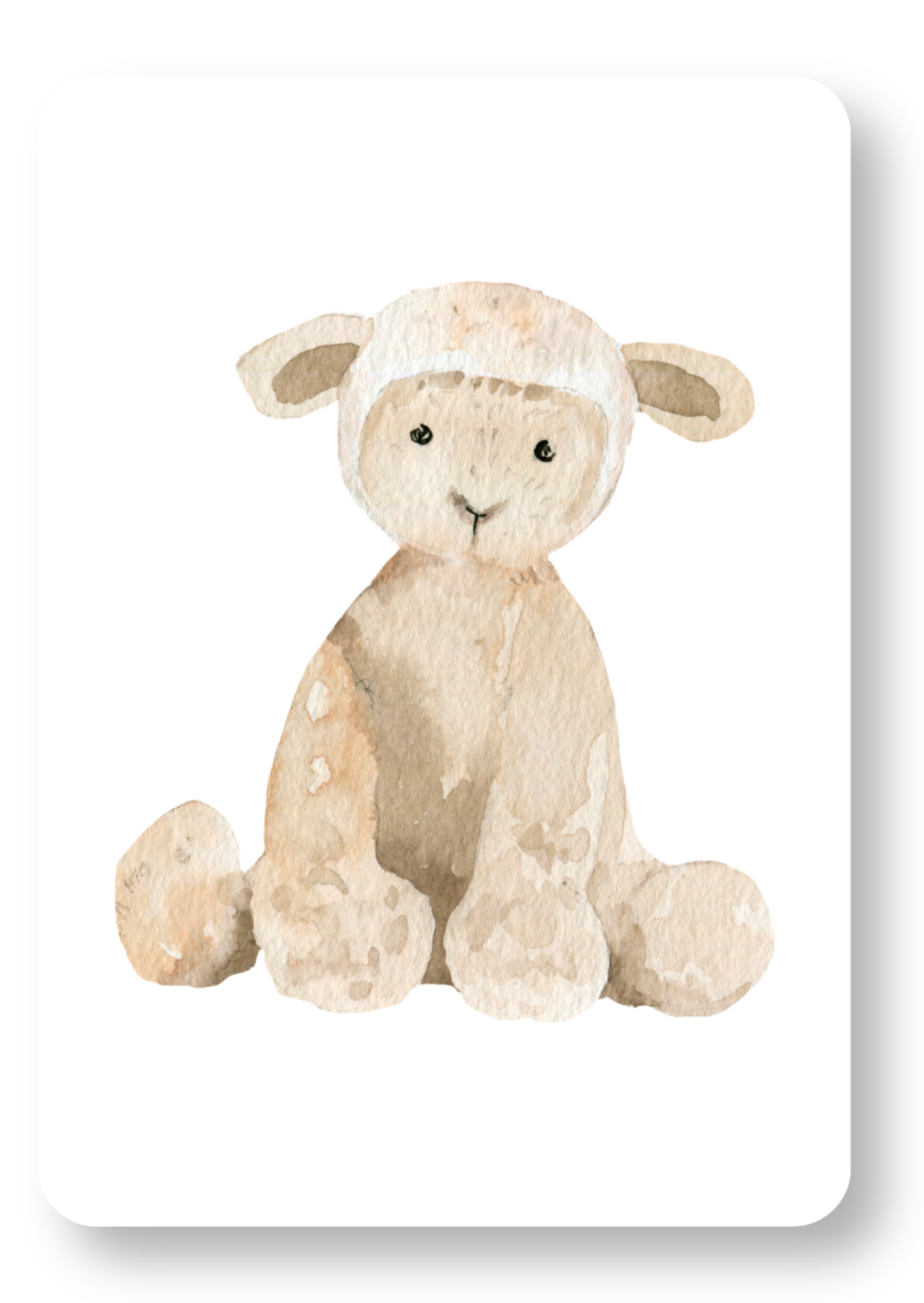 Schaap