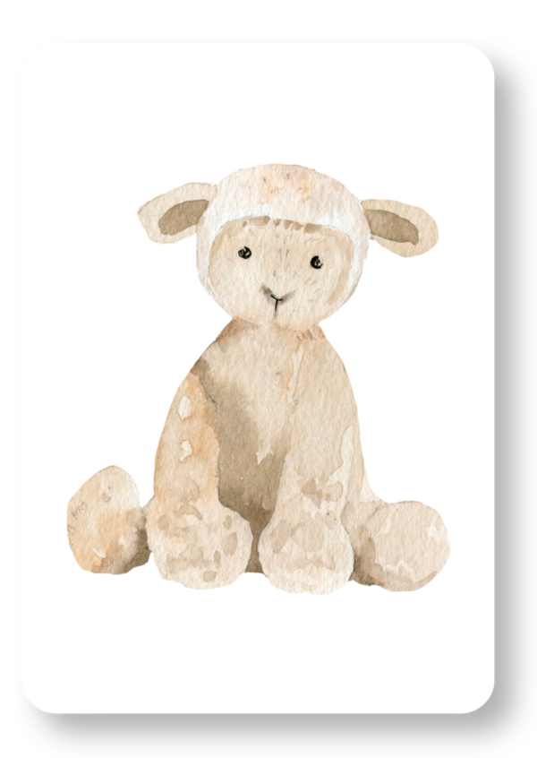 Schaap