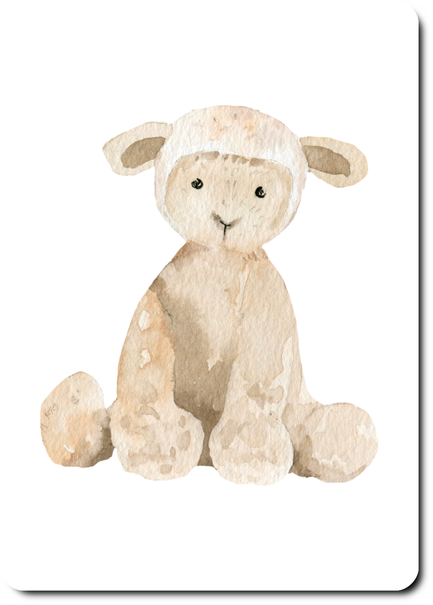 Schaap