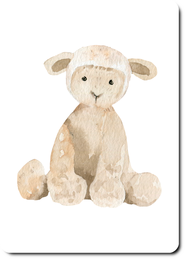Schaap
