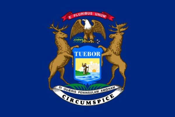 Aufkleber - Flagge - Michigan - Bundesstaaten USA - versch. Größen