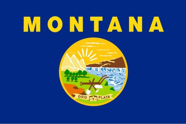 Aufkleber - Flagge - Montana - Bundesstaaten USA - versch. Größen