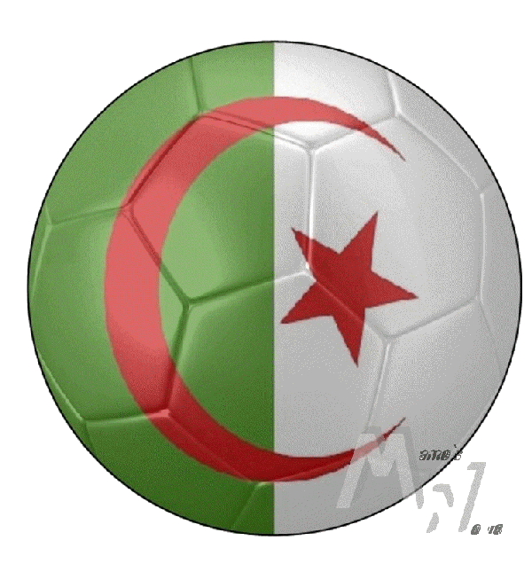 Aufkleber - Sticker - Fußballflagge Rund - Algerien - versch. Größen
