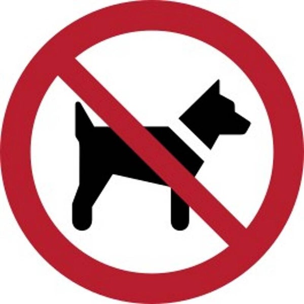 Aufkleber -  P021  Mitführen von Hunden verboten  - ISO DIN 7010 - Verbotszeichen - versch. Größen