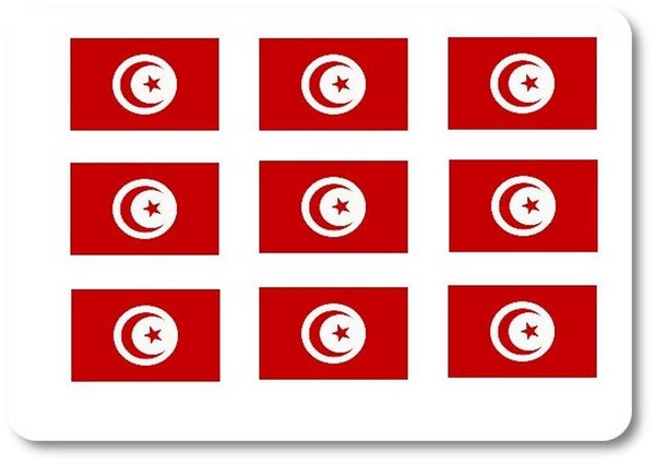 Aufkleber - Sticker - Tunesien  Flagge - Set - 18 Stück - 25x15