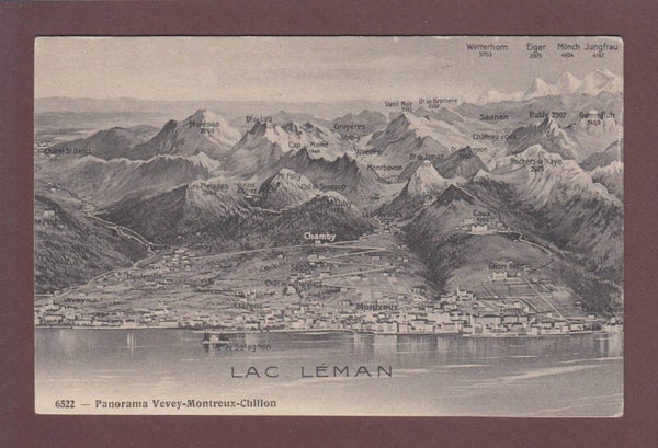 Panorama VEVEY - MONTREUX - CHILLON - Vol d'oiseau